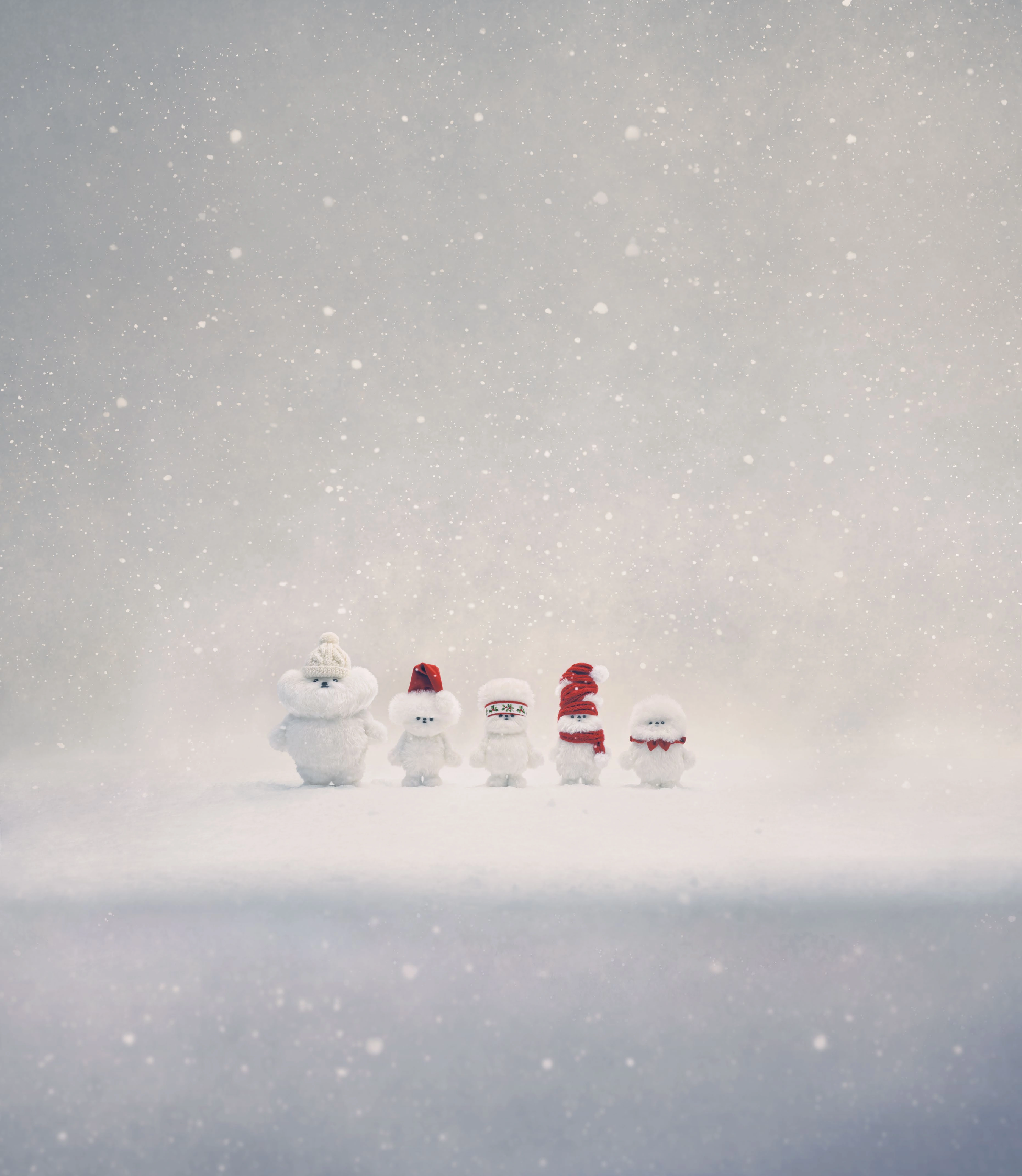 雪の中に並ぶ5人のヒカリエルフ