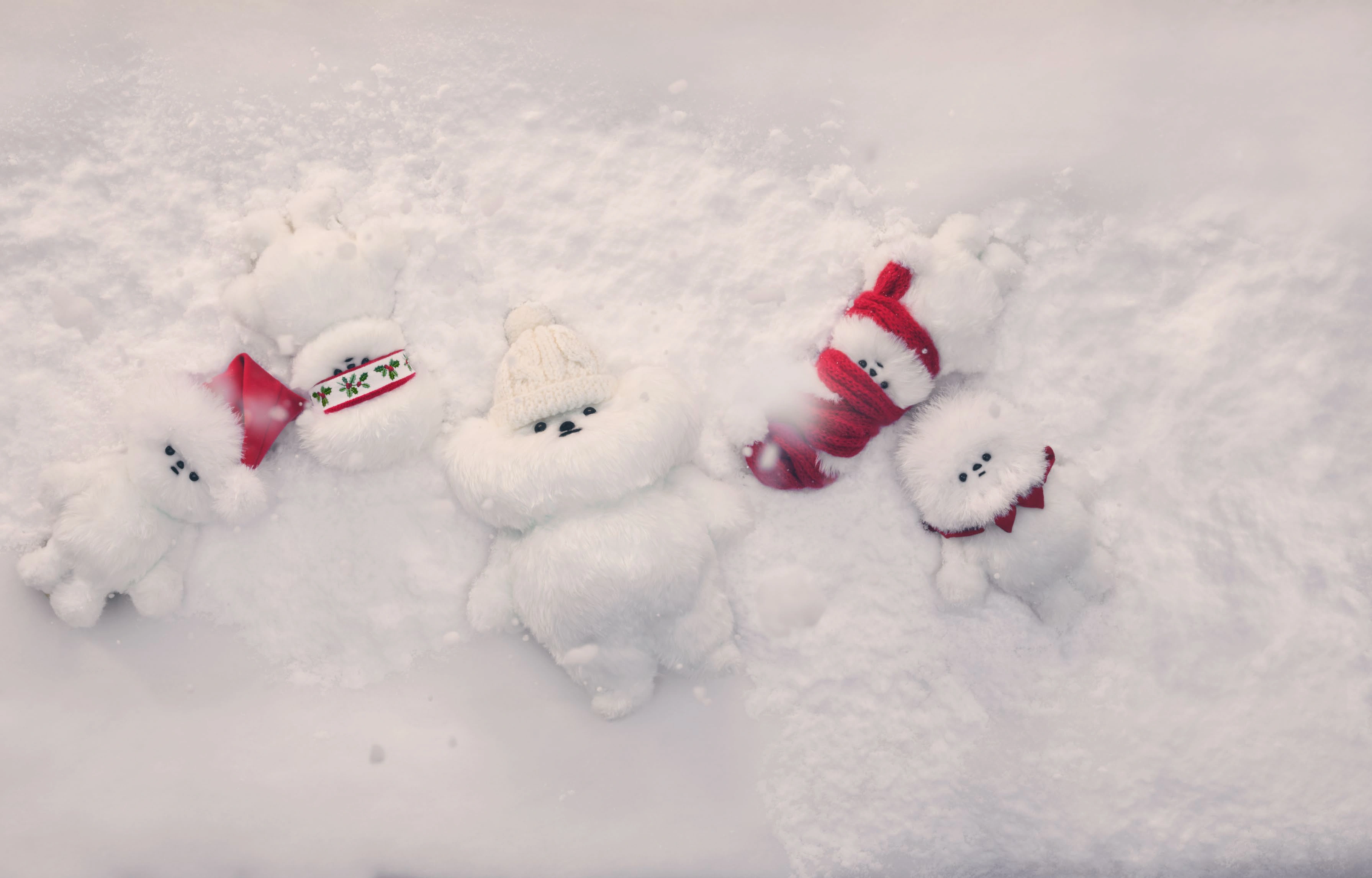 雪の上に集まる5人のヒカリエルフ