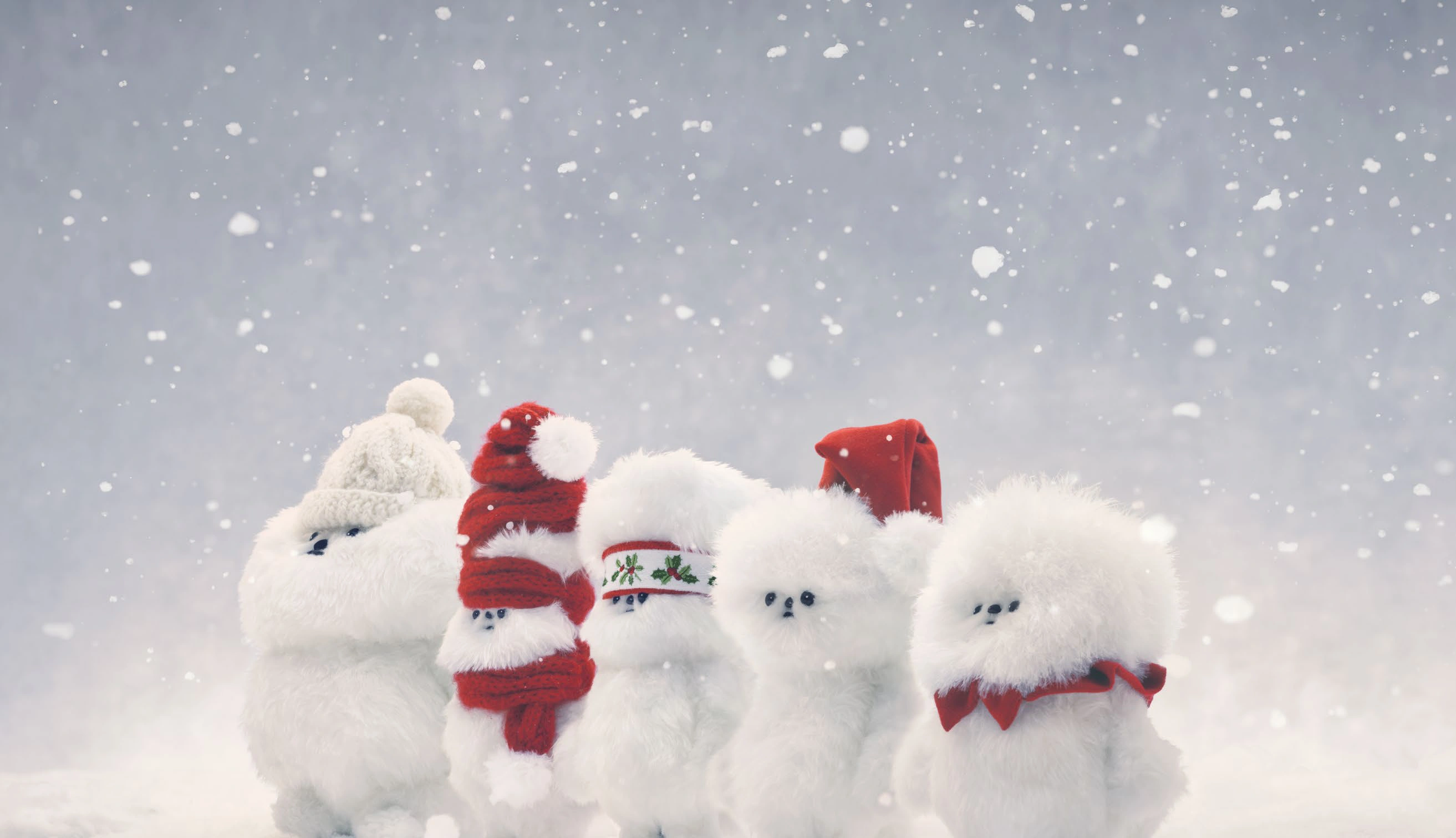 雪の中に並ぶ5人のヒカリエルフ
