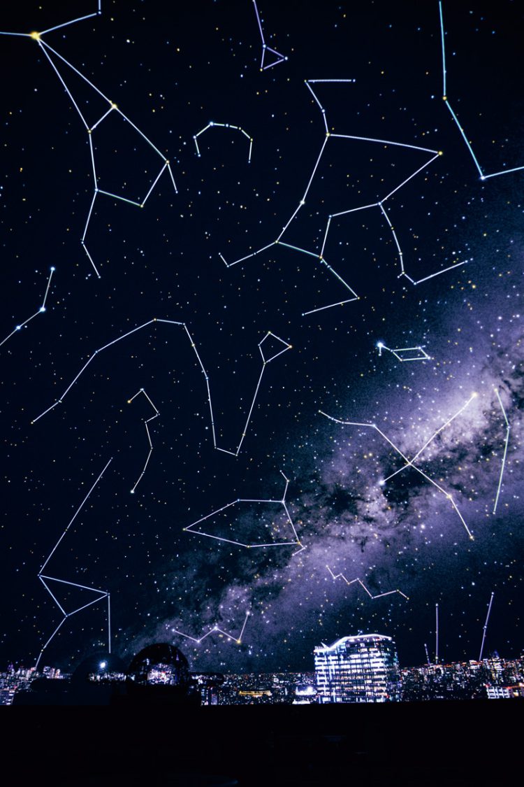 渋谷さんぽで外せないスポット6選。締めは、お酒と料理のペアリングを楽しんで。