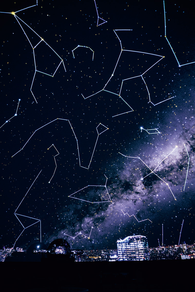 渋谷さんぽで外せないスポット6選。締めは、お酒と料理のペアリングを楽しんで。