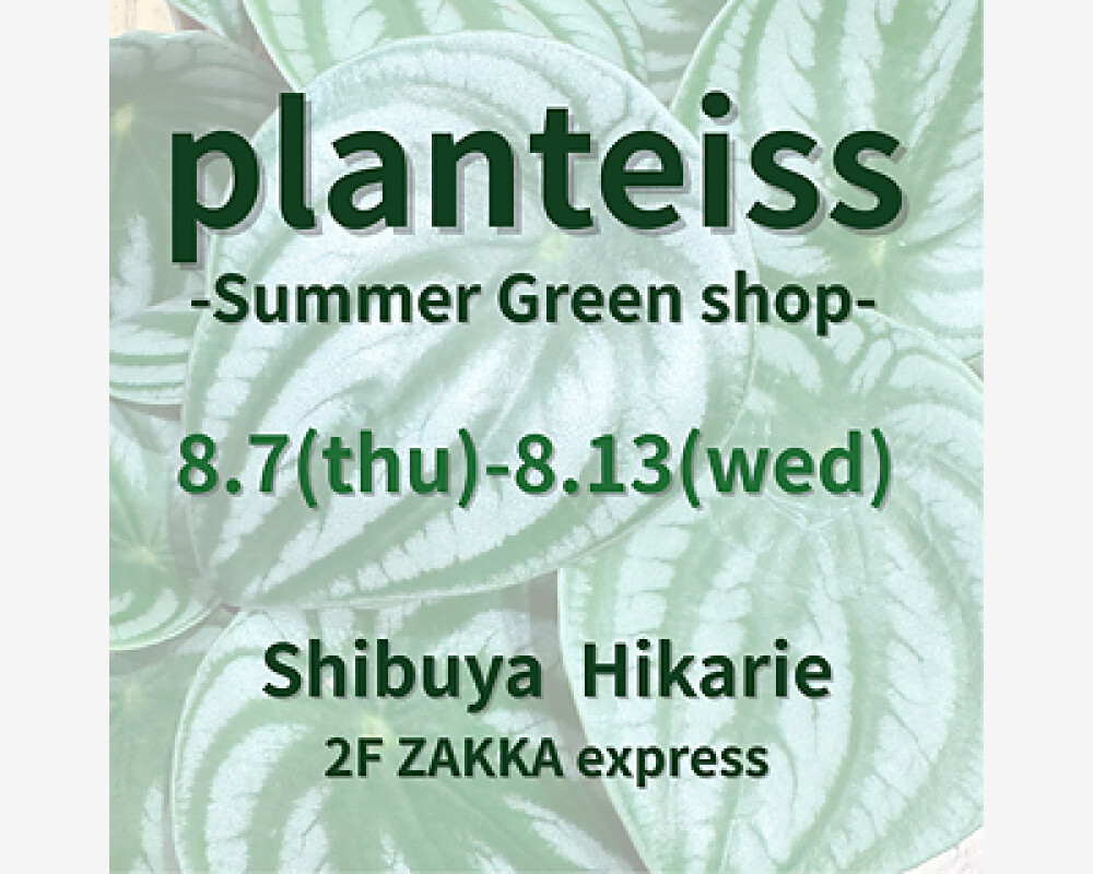 植物のある暮らしをご提案〈planteiss〉Summer Green shop