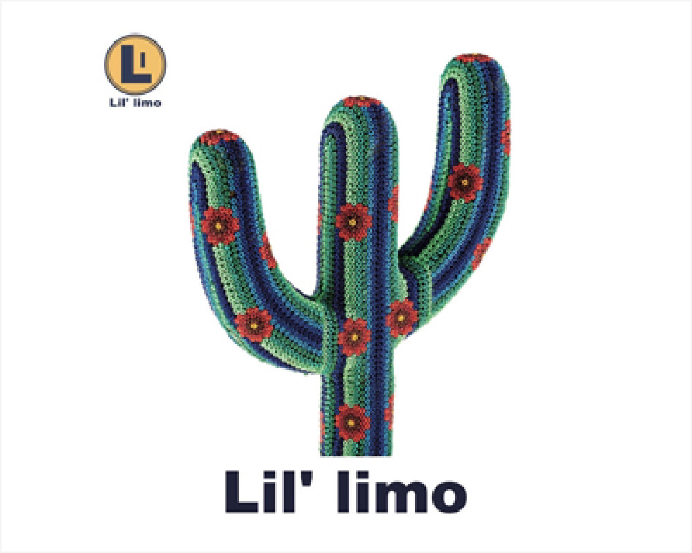 国内外からセレクトしたウェアやバッグ、アクセサリーが揃う〈Lil' limo〉POP UP SHOP