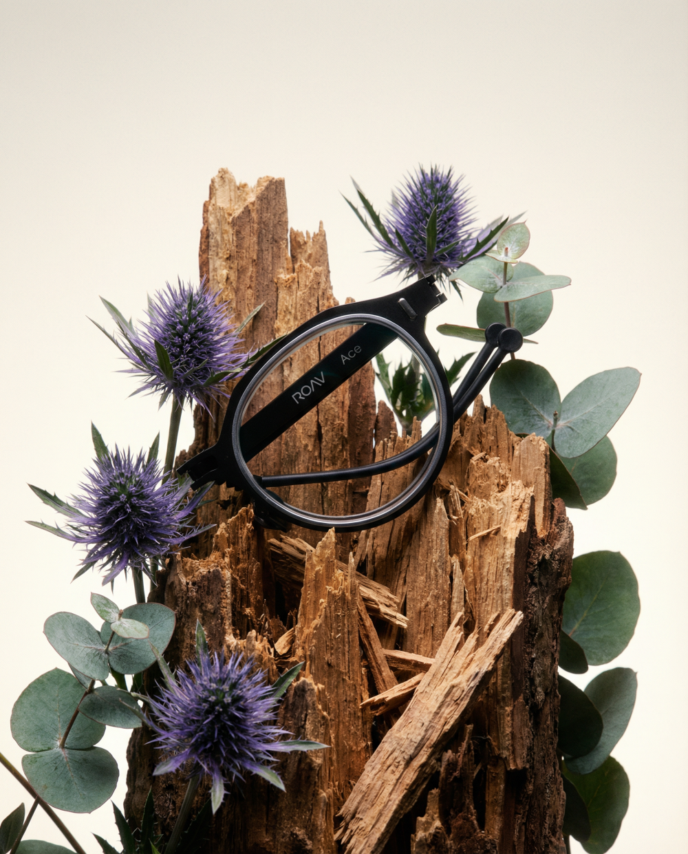 SeaChange Exhibition April.2026