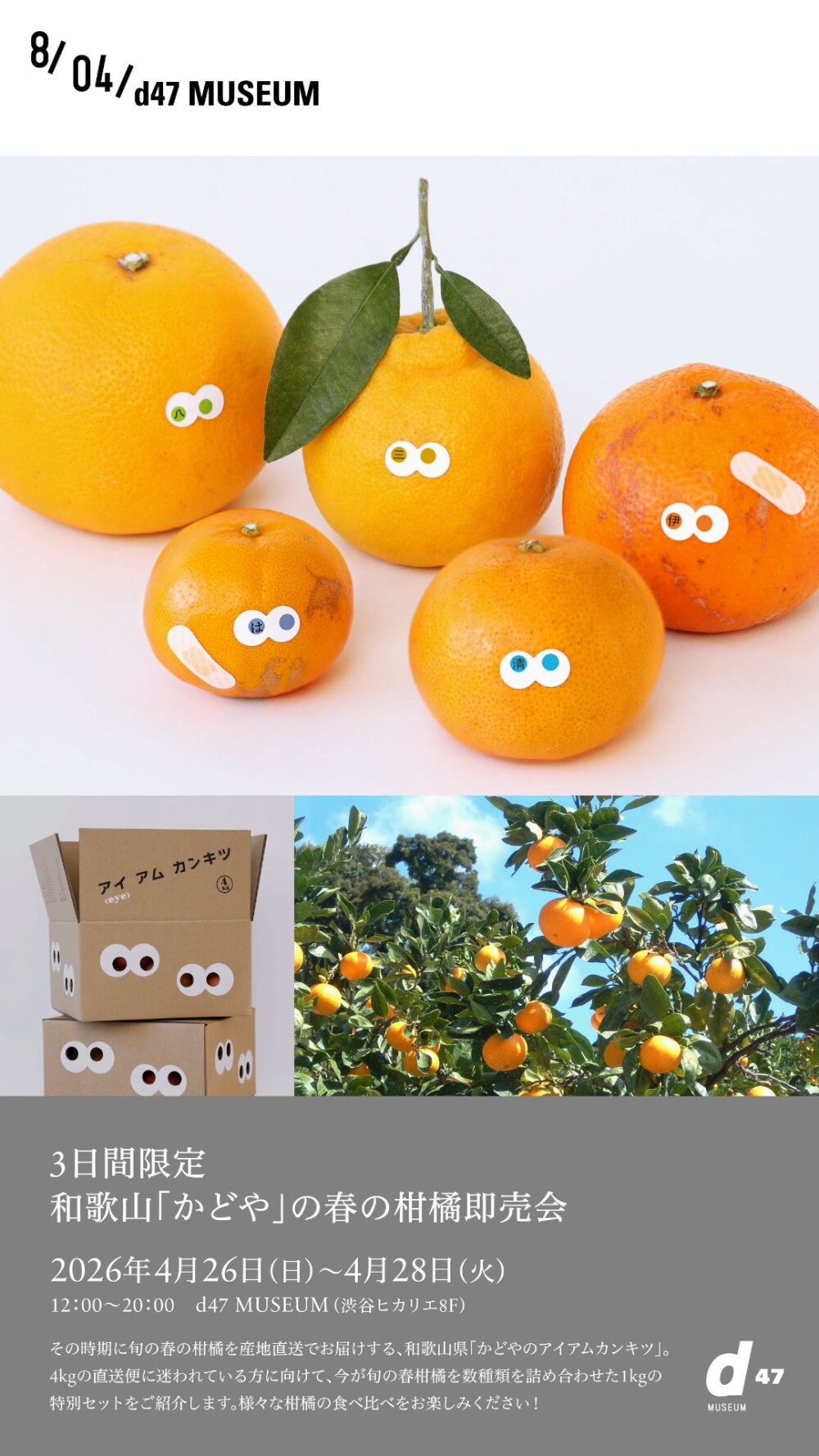 3日間限定｜和歌山「かどや」の春の柑橘即売会