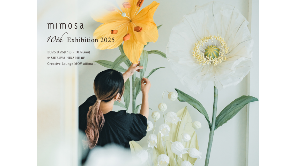 mimosa 10th exhibition